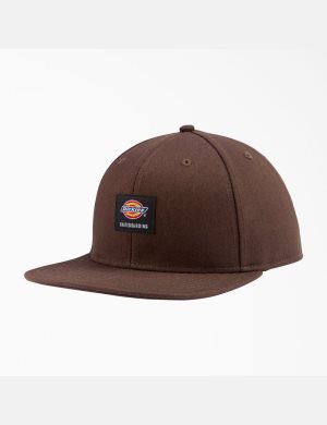 Chapeaux Dickies Skateboarding Plates Bill Chocolat Marron | 095KGHPBF