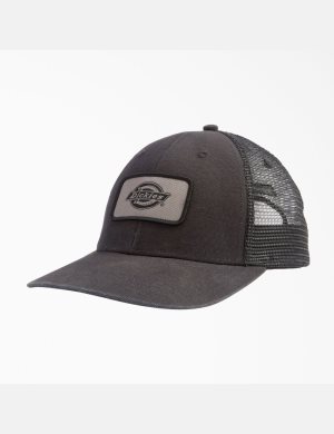 Chapeaux Dickies Tela Trucker Noir | 786LVETXU