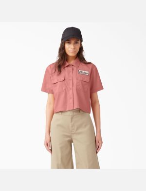 Chemises Dickies Cropped Corta Sleeve Travail Multicolore | 174SPNJIT