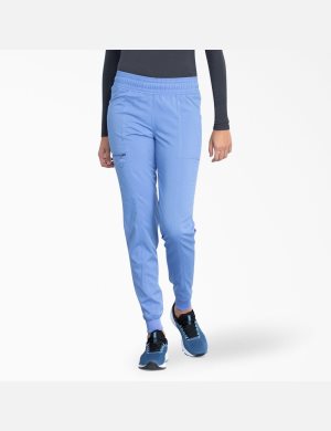 Pantalon De Gommage Dickies Balance Jogger Bleu | 819JVDKOT