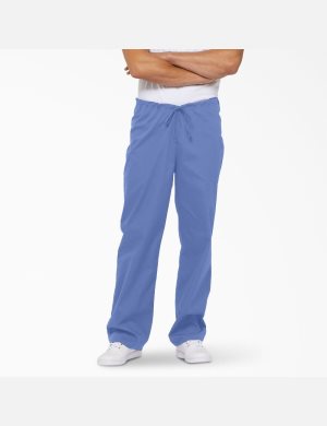 Pantalon Dickies EDS Signature Bleu | 376PIMEWA