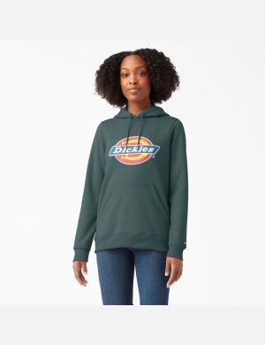 Sweat À Capuche Dickies Heavyweight Logo Vert | 210THIPKX