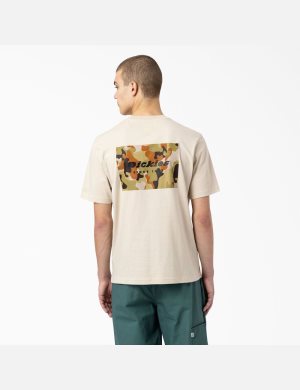 T Shirts Dickies Artondale Graphique Multicolore | 240LTVHWE