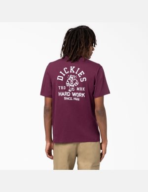 T Shirts Dickies Cleveland Corta Sleeve Graphique Violette Bordeaux | 104YFWJTL