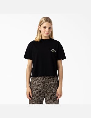 T Shirts Dickies Fort Lewis Cropped Graphique Noir | 971TVHISO