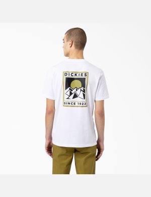 T Shirts Dickies Pacific Graphique Blanche | 542BFDSNL