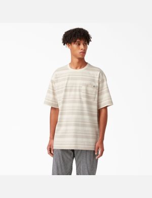 T Shirts Dickies Relaxed Fit Rayé Pocket Stripes | 173LYCMTG