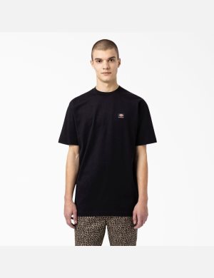 T Shirts Dickies Skateboarding Mount Vista Noir | 367XHTOSV