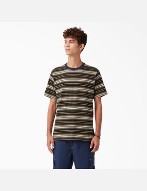 T Shirts Dickies Skateboarding Rayé Noir Stripes | 028WURBGN