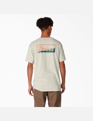 T Shirts Dickies Skateboarding Split Graphique Beige | 235KRXLQE