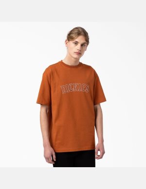 T Shirts Dickies Union Springs Corta Sleeve Marron | 175ONCYMW