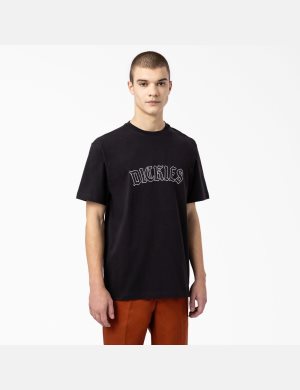 T Shirts Dickies Union Springs Corta Sleeve Noir | 857AMDVIE