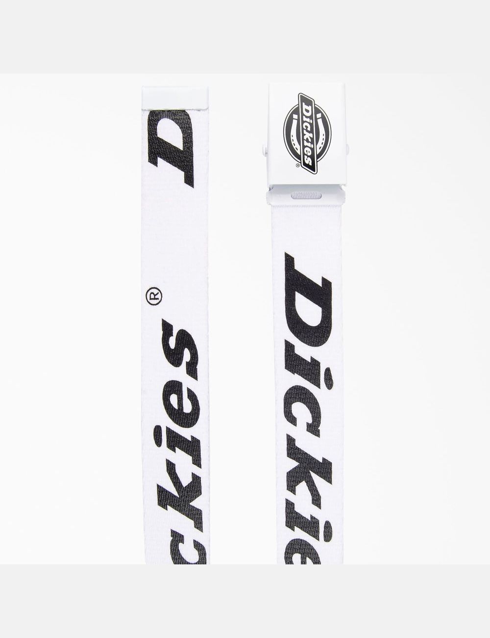 Ceintures Dickies Logo Web Blanche | 031FCHROK