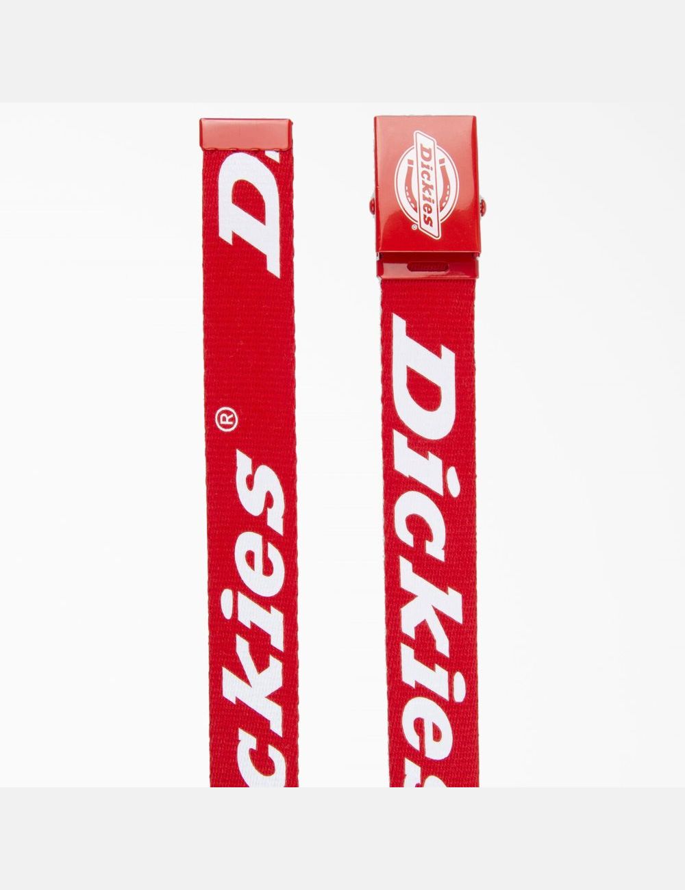 Ceintures Dickies Logo Web Rouge | 390NRJYHB