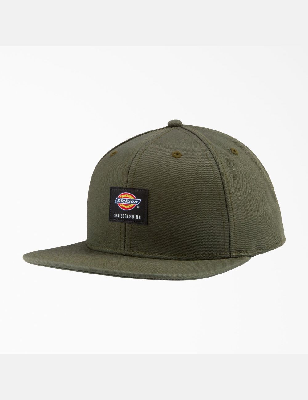 Chapeaux Dickies Skateboarding Plates Bill Vert Olive Vert | 071MGLKPR