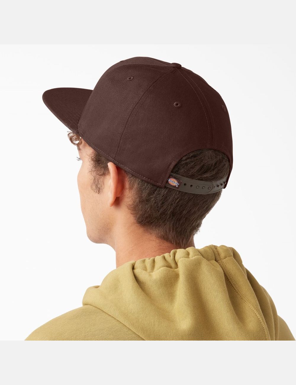 Chapeaux Dickies Skateboarding Plates Bill Chocolat Marron | 095KGHPBF