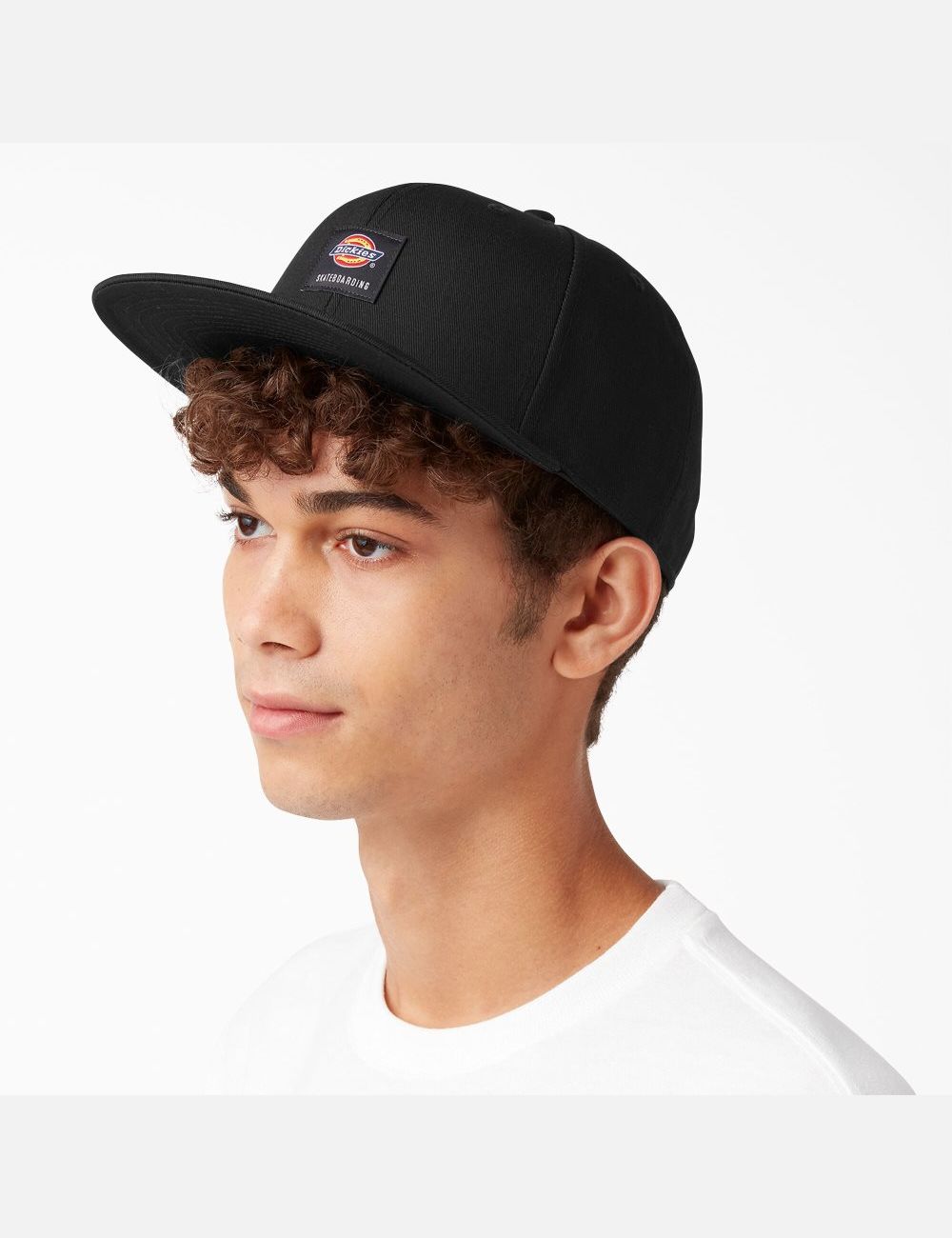 Chapeaux Dickies Skateboarding Plates Bill Noir | 468RQDWLZ