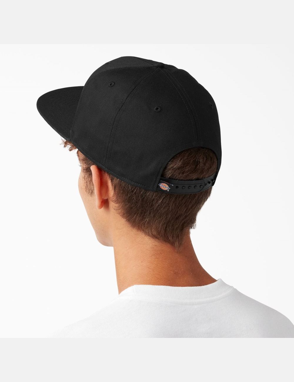 Chapeaux Dickies Skateboarding Plates Bill Noir | 468RQDWLZ