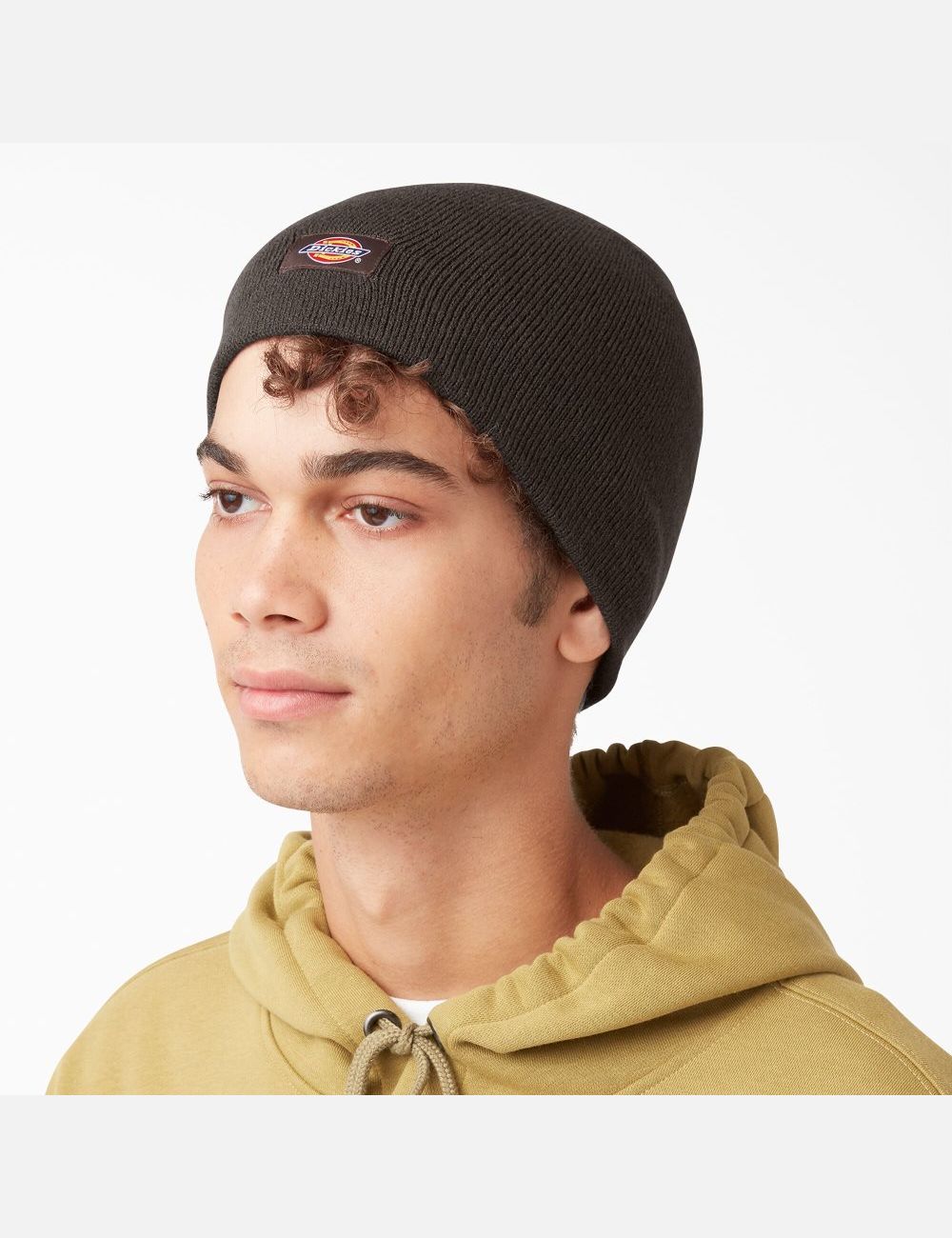 Chapeaux Dickies Skull Marron Foncé | 386WMSTGI