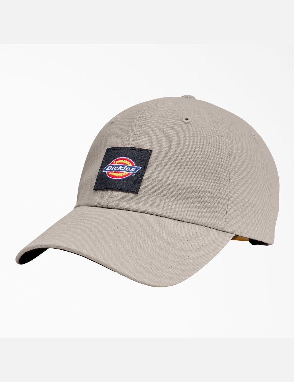 Chapeaux Dickies Washed Tela Multicolore | 902HXMOZP