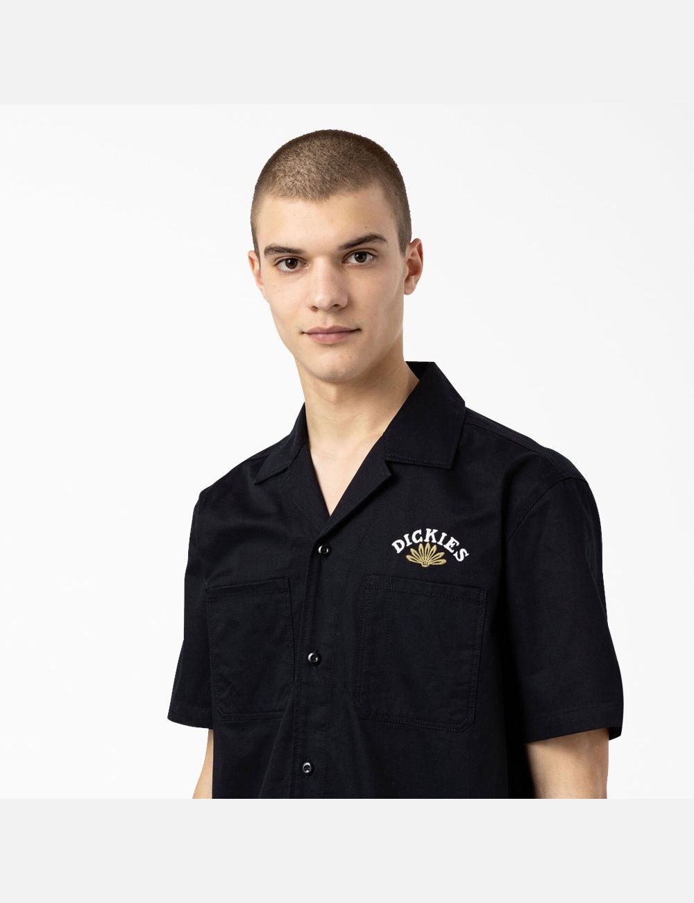 Chemises De Travail Dickies Fort Lewis Embroidered Corta Sleeve Noir | 326JXHOYK