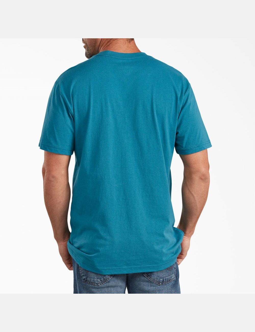 Chemises Dickies Corta Sleeve Relaxed Fit Graphique Turquoise | 174BEHVDZ