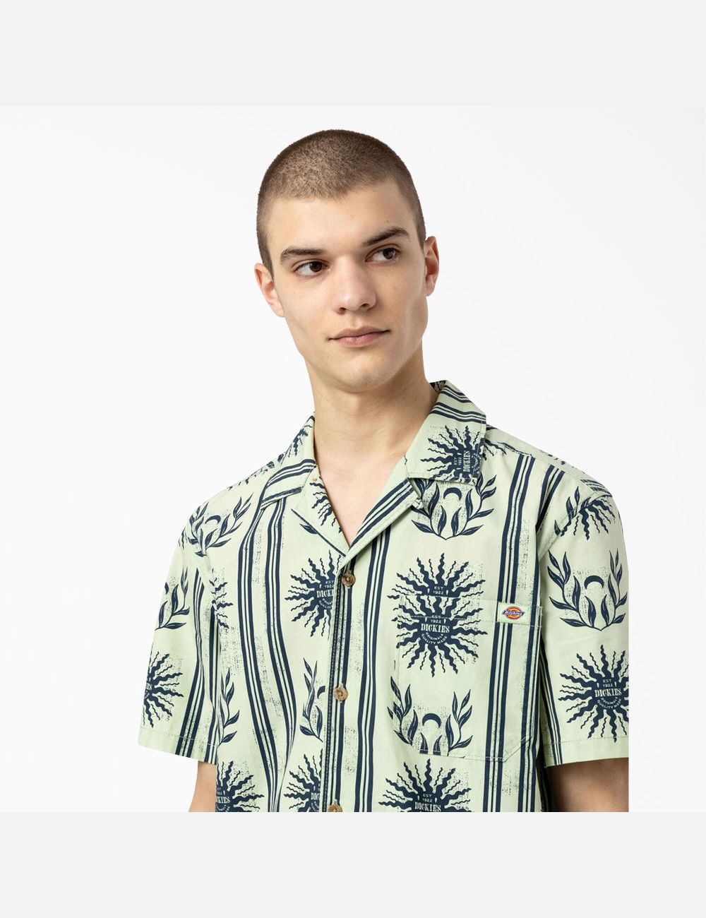 Chemises Dickies Kelso Summer Pattern Corta Sleeve Vert | 367OMBNYG