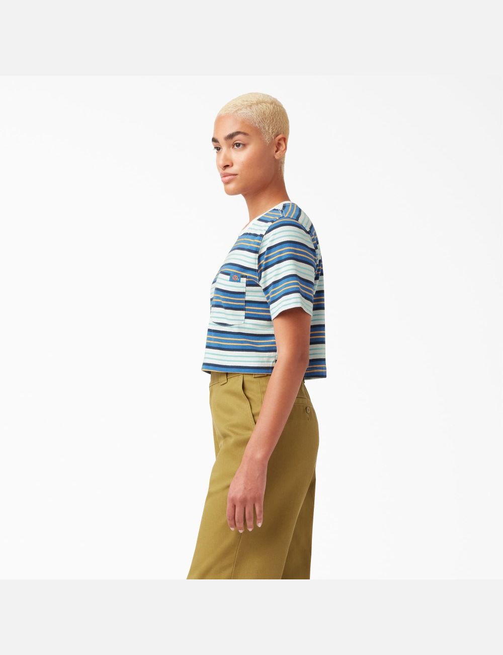 Hauts Courts Dickies Rayé Bleu Foncé Stripes | 851ACFYDV