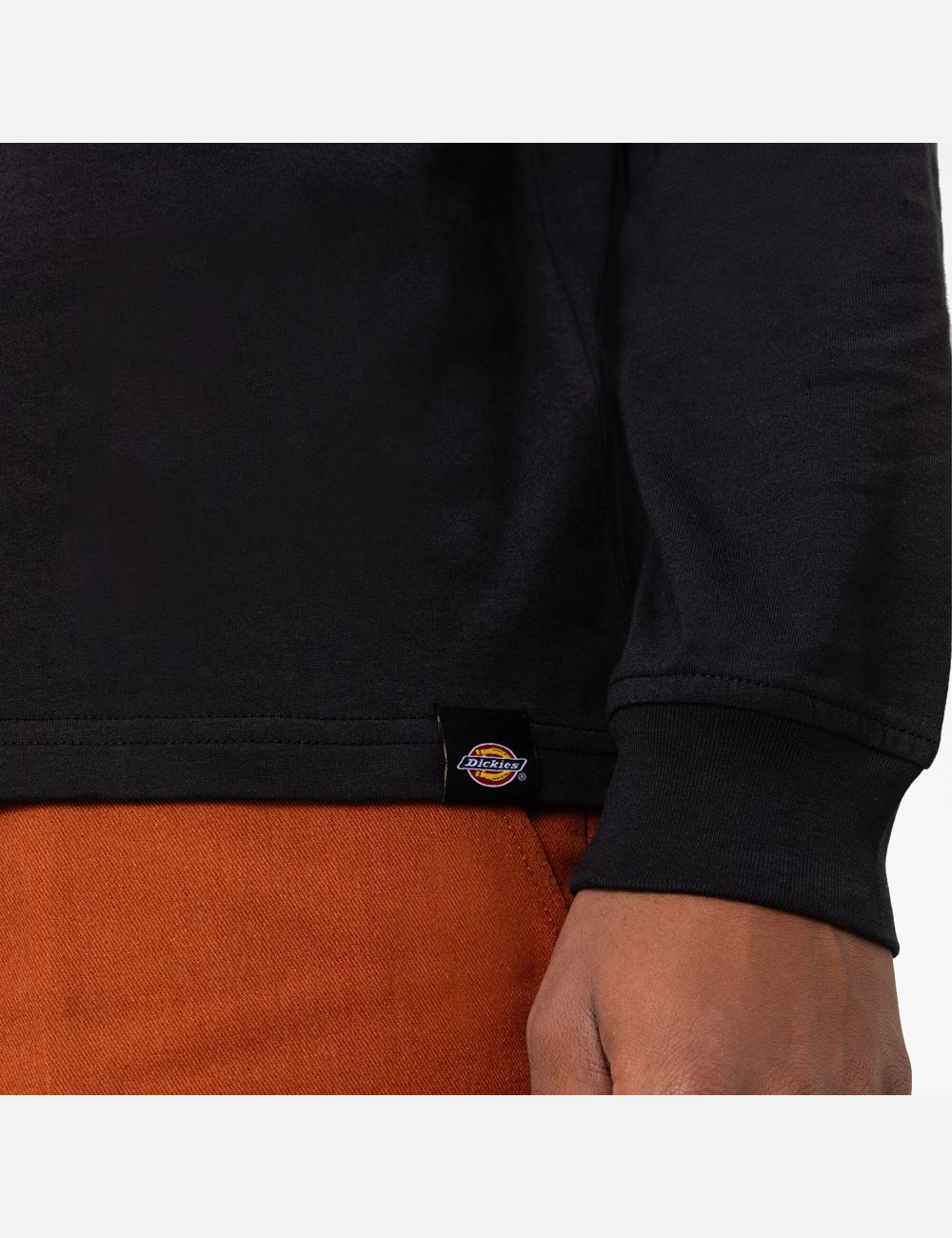 Long Sleeve Dickies Cleveland T-Shirt Noir | 591IARYNL