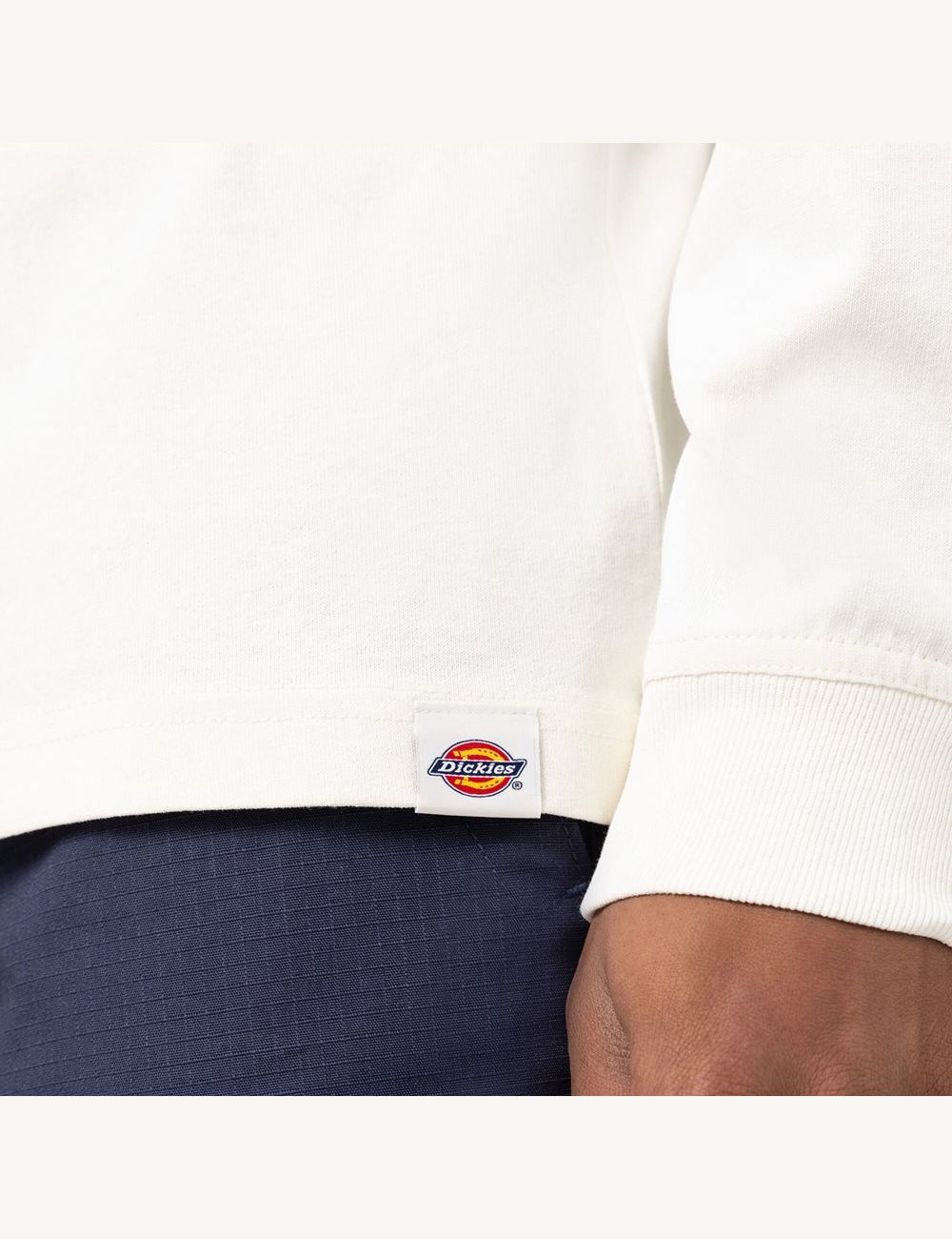 Long Sleeve Dickies Marbury T-Shirt Blanche | 769XJKWIP