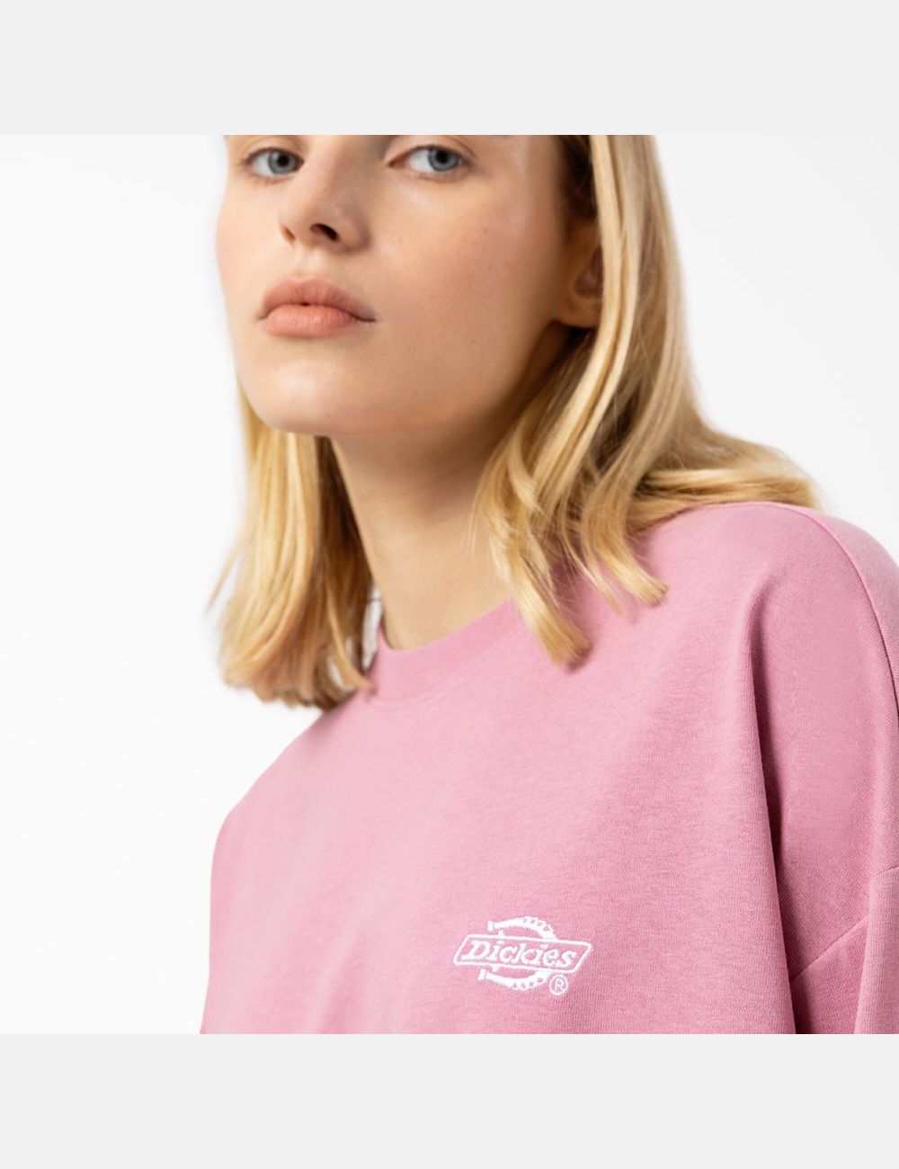 Long Sleeve Dickies Summerdale T-Shirt Multicolore | 635XJWNRP