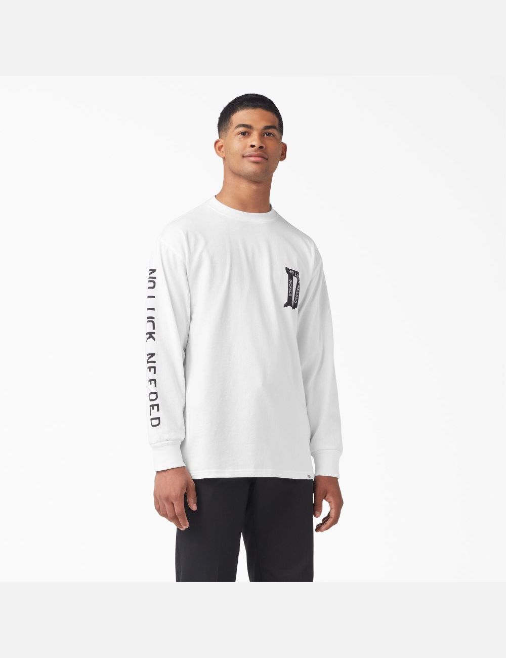 Long Sleeve Dickies Union Springs T-Shirt Blanche | 803WLHVUQ