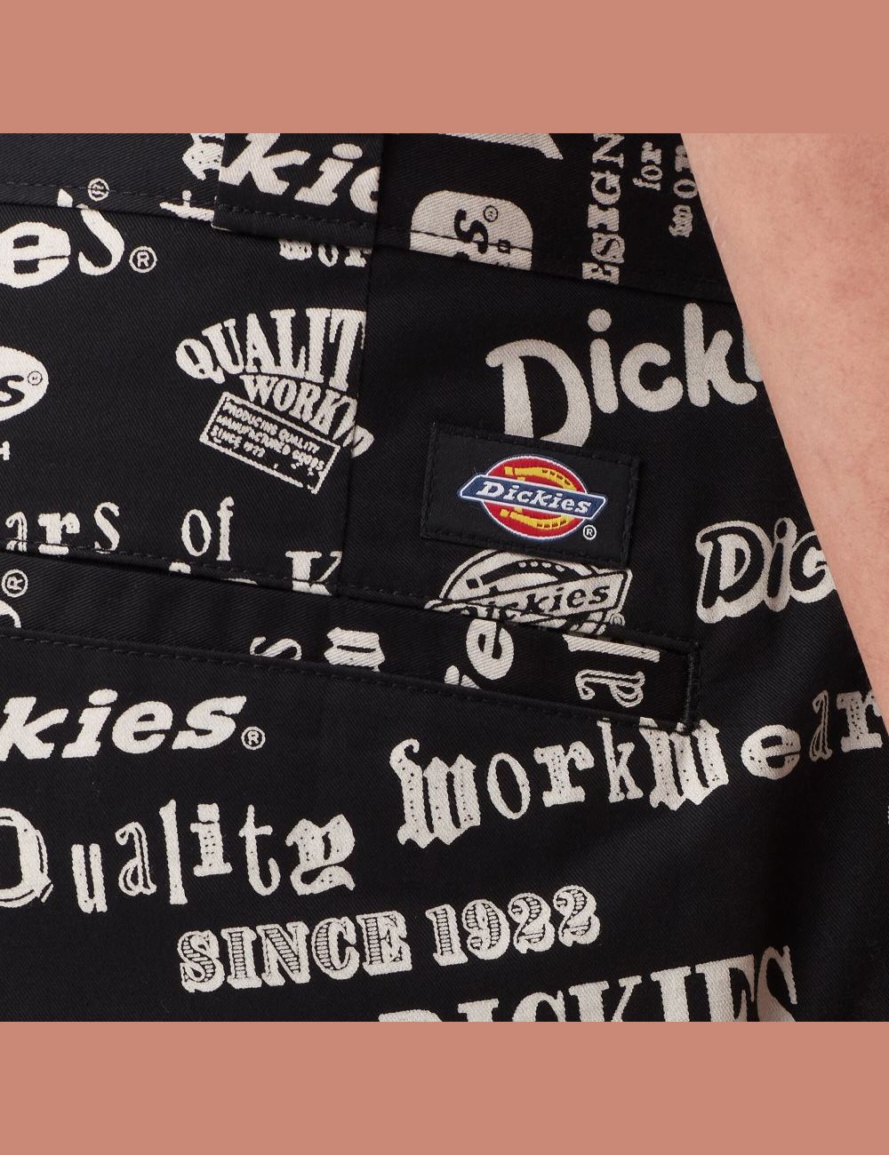 Pantalon De Travail Dickies 100 Year Printed Logo Multicolore | 264DZTBAJ