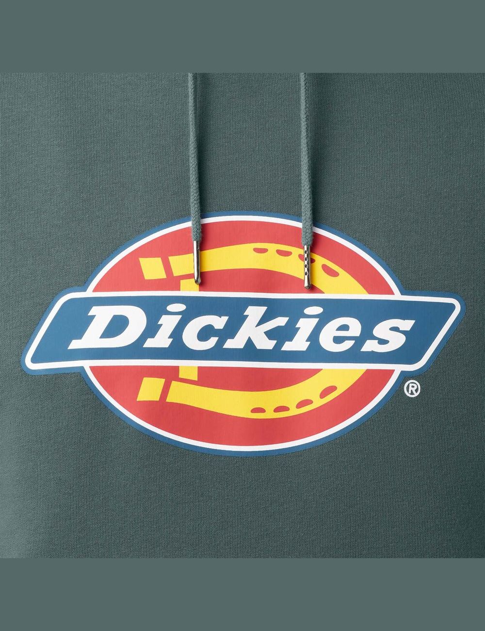 Sweat À Capuche Dickies D'eau Repellent Tri-Color Logo Vert | 547VXUKHZ