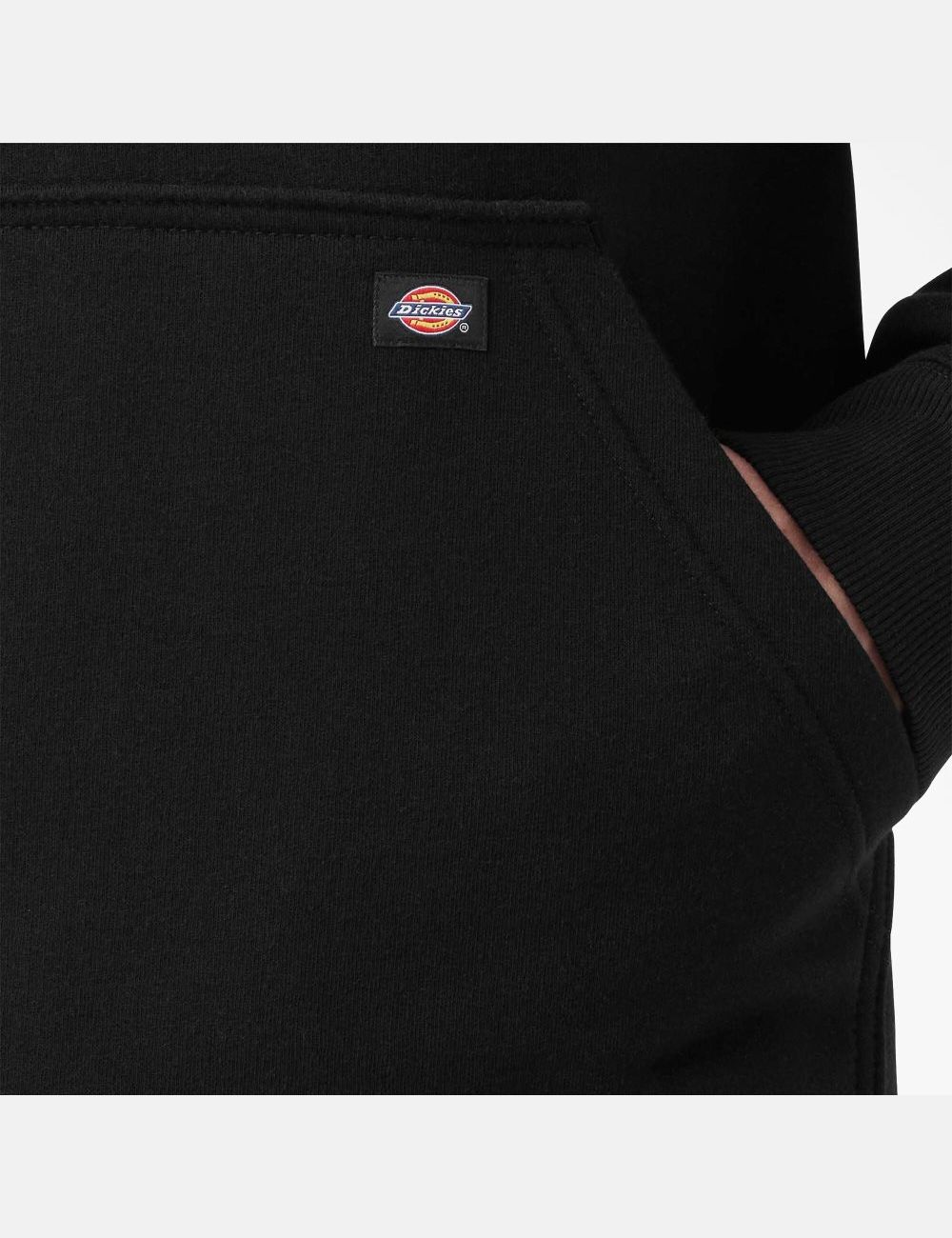 Sweat À Capuche Dickies D'eau Repellent Logo Sleeve Noir | 623UFJPYE