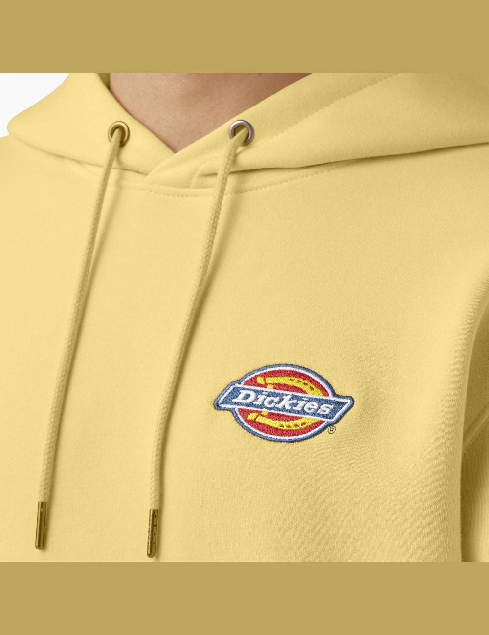 Sweat À Capuche Dickies Fleece Embroidered Chest Logo Multicolore | 158TAQKWF