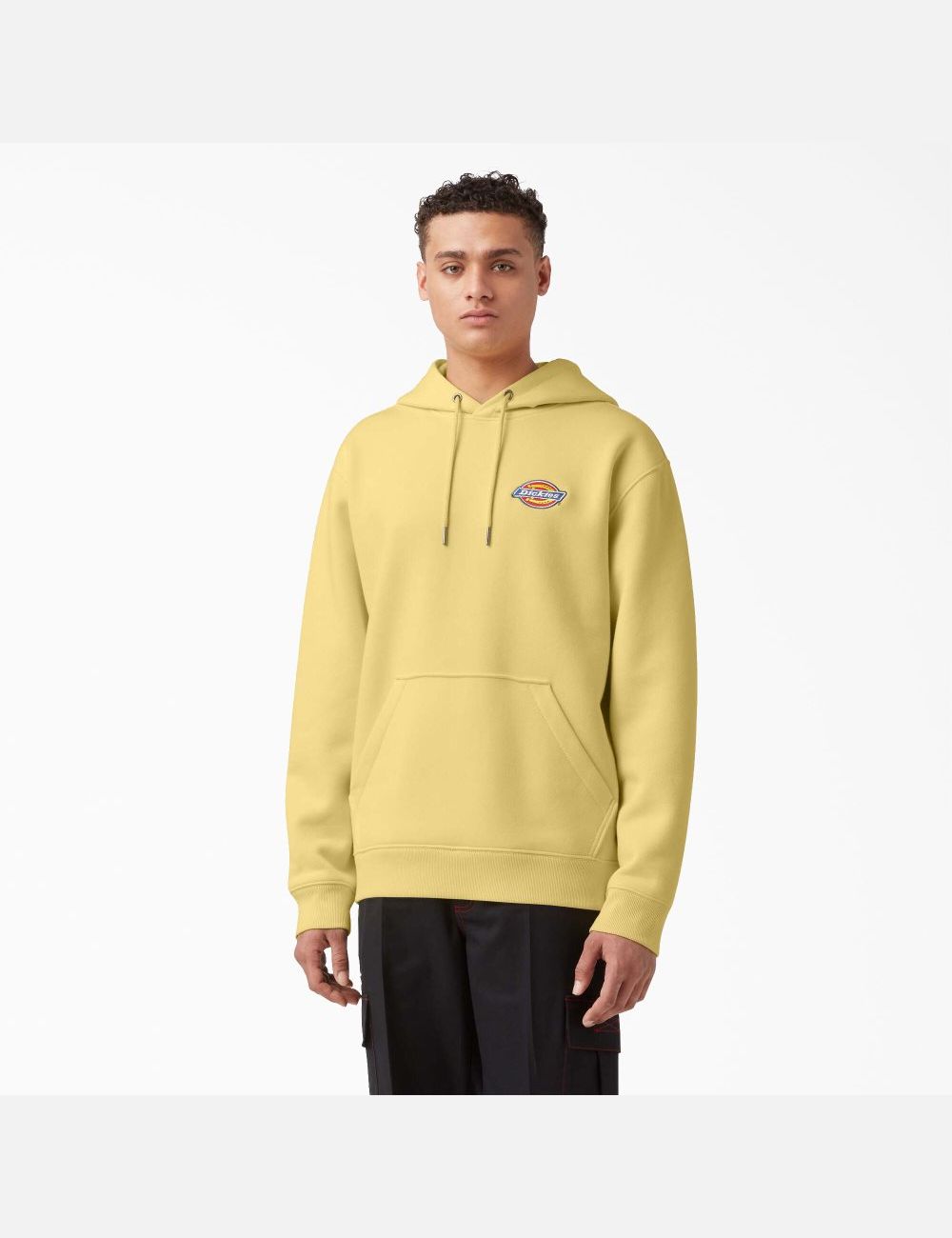 Sweat À Capuche Dickies Fleece Embroidered Chest Logo Multicolore | 158TAQKWF