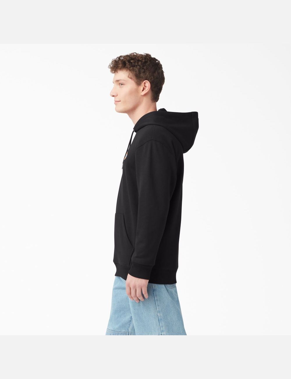 Sweat À Capuche Dickies Fleece Embroidered Chest Logo Noir | 594XPEKGD