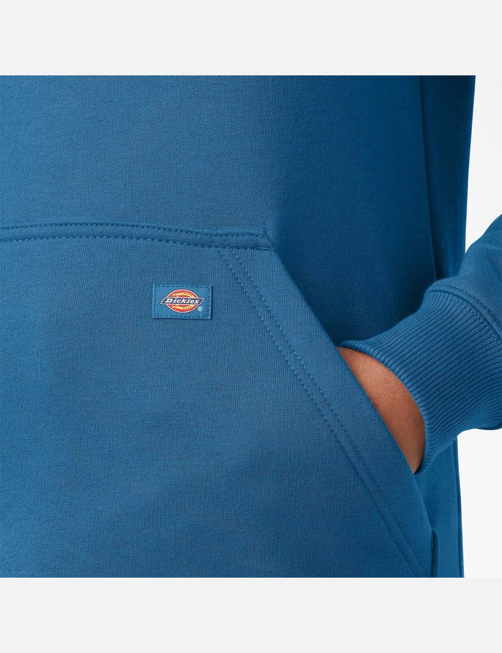 Sweat À Capuche Dickies Heavyweight Logo Sleeve Bleu | 049WJNGQL