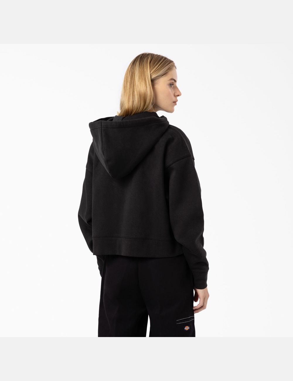 Sweat À Capuche Dickies Oakport Zip Noir | 475SBFTQN