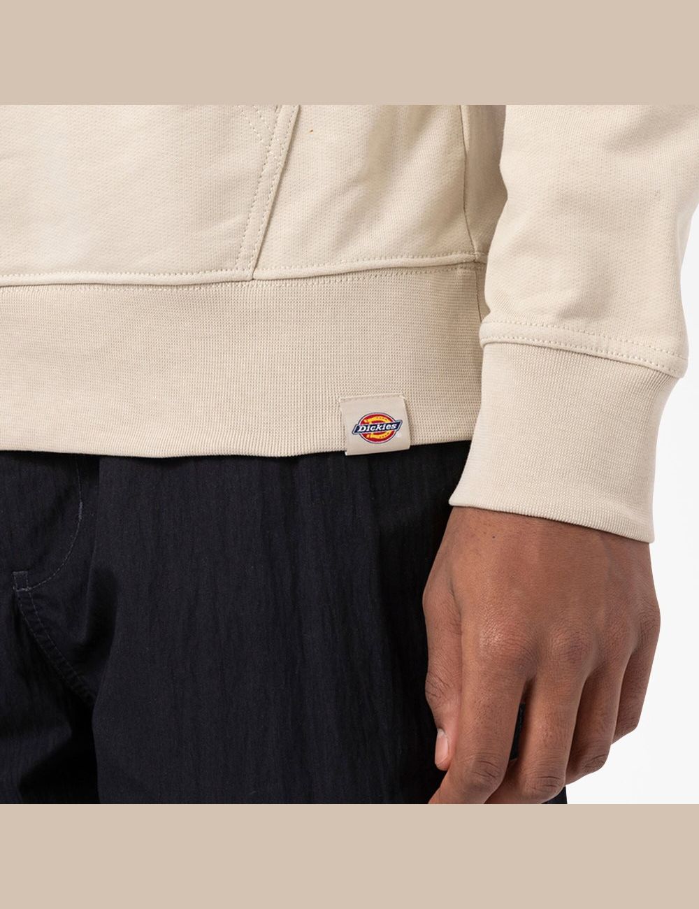 Sweat À Capuche Dickies Pacific Embroidered Graphique Multicolore | 072UWINAD