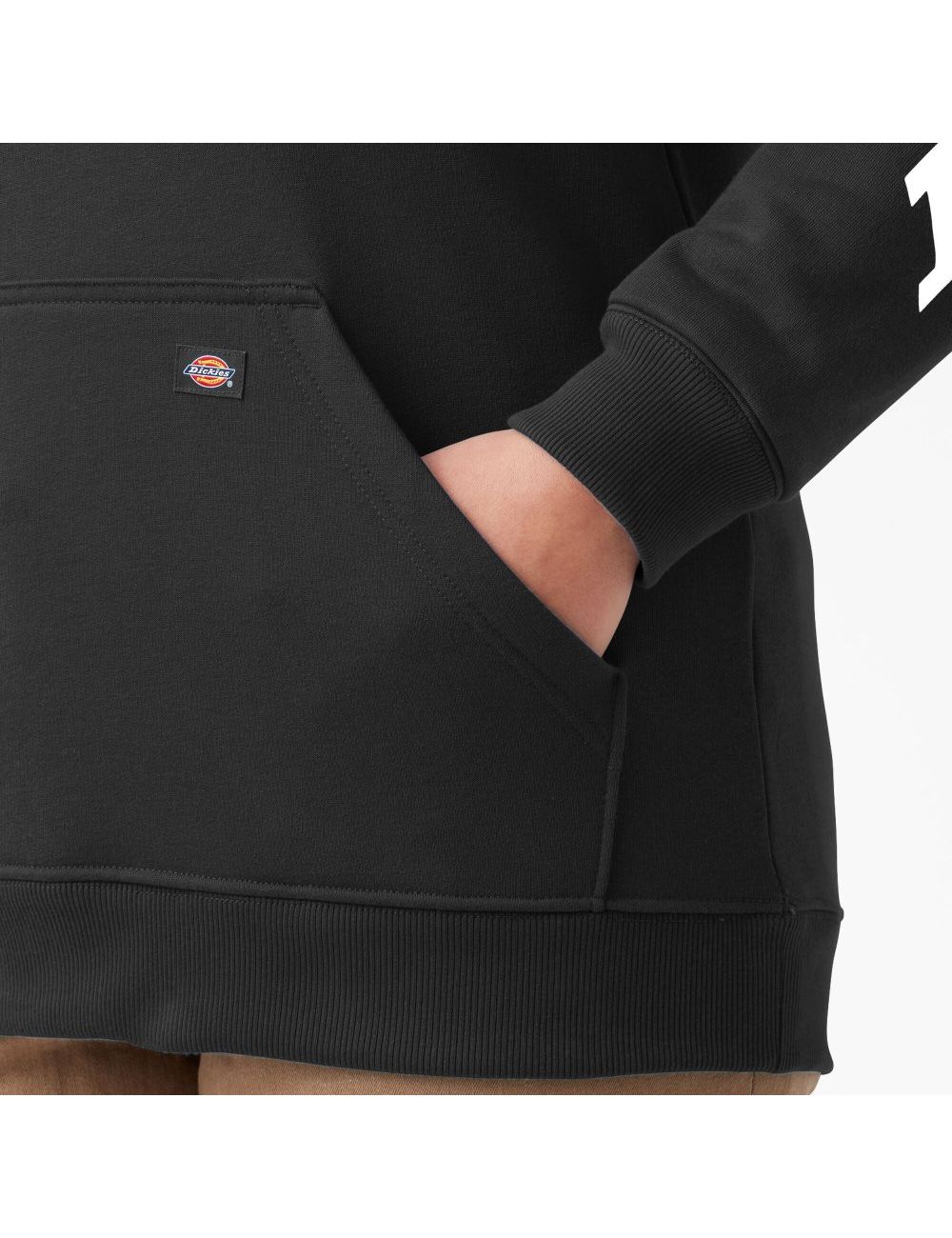 Sweat À Capuche Dickies Plus Heavyweight Logo Sleeve Noir | 807UMZEVD