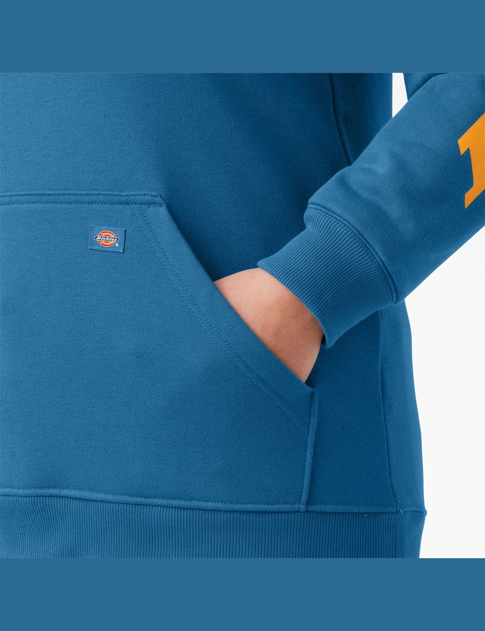 Sweat À Capuche Dickies Plus Heavyweight Logo Sleeve Bleu | 973YFJTGN