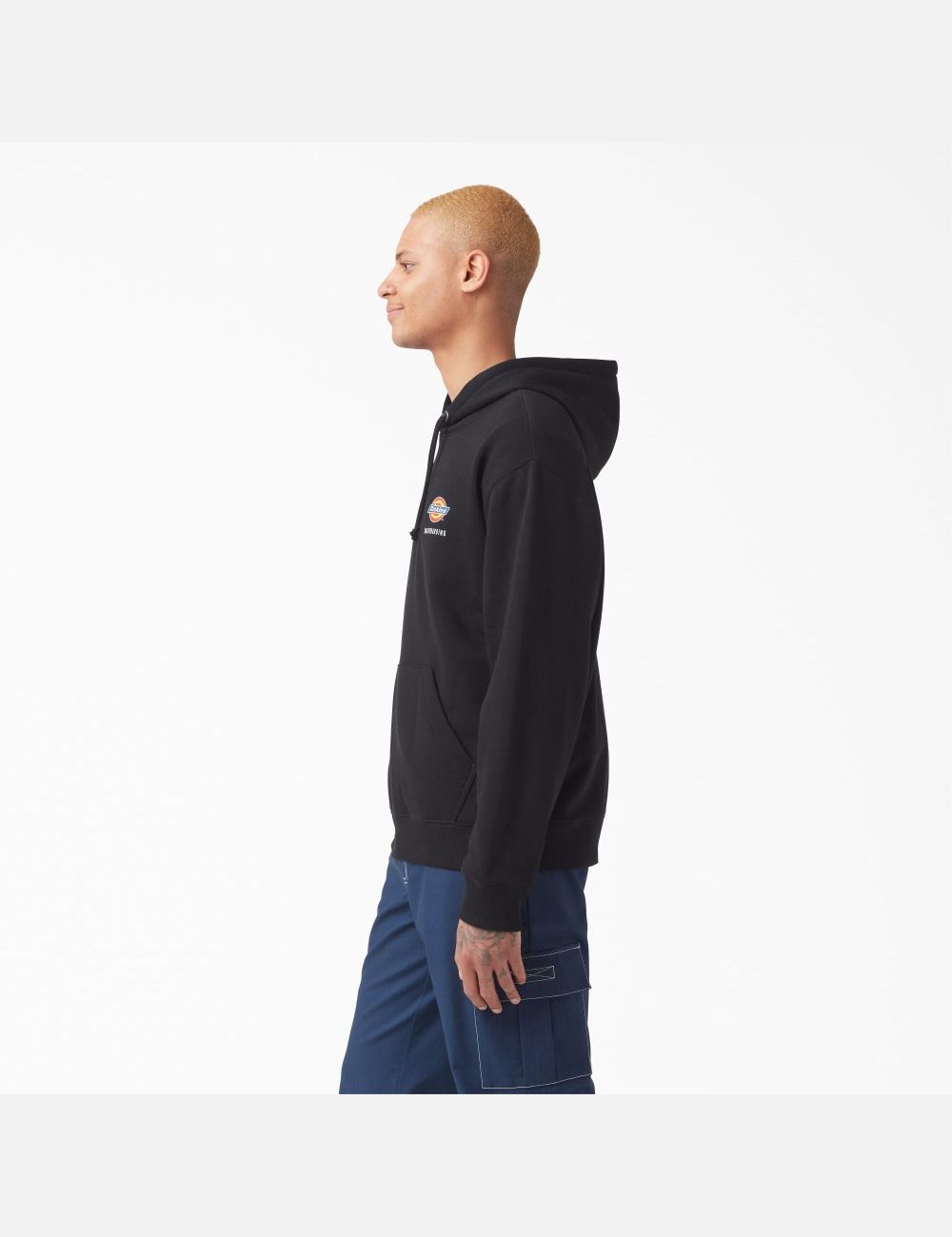 Sweat À Capuche Dickies Skateboarding Chest Logo Noir | 306GYFWLX