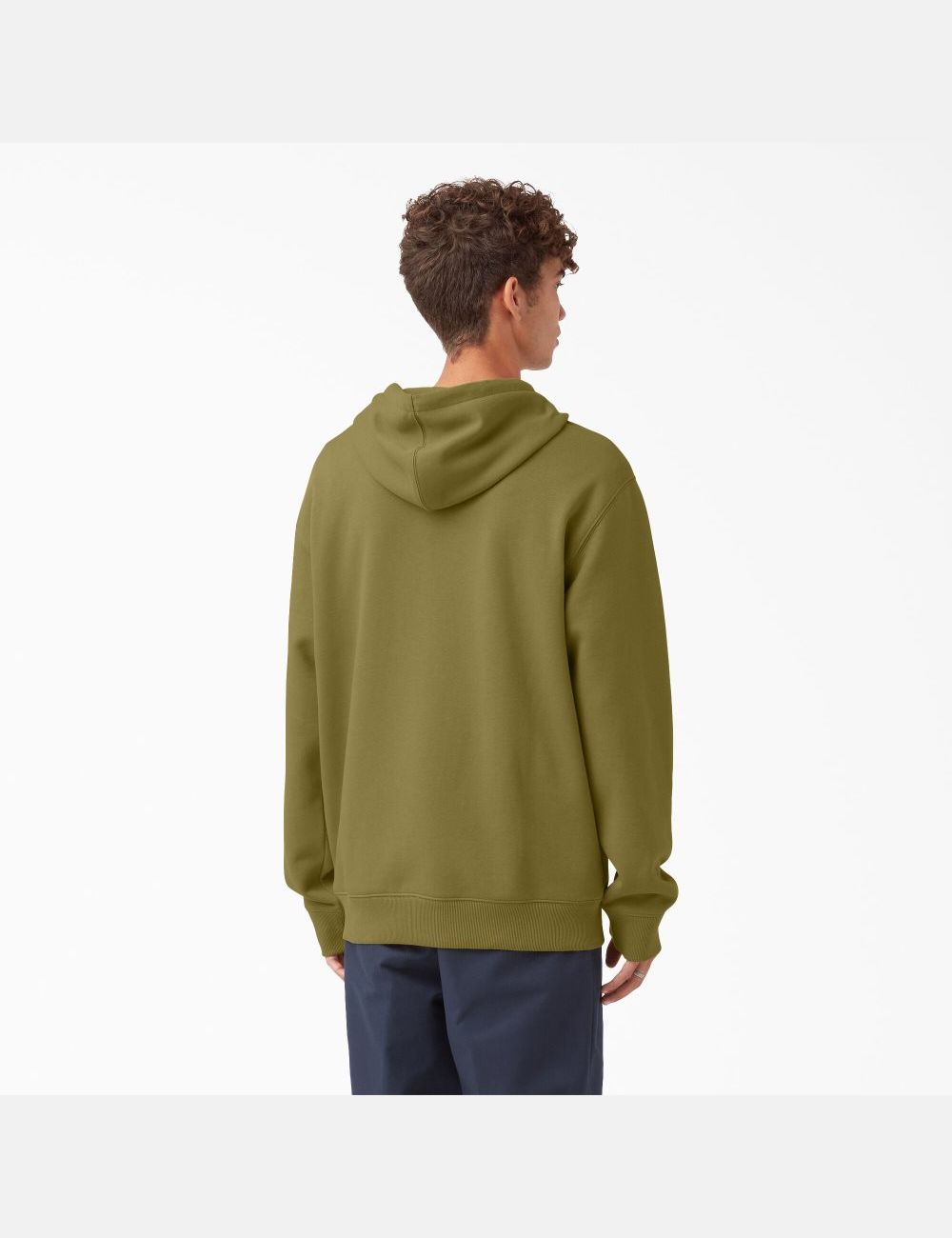 Sweat À Capuche Dickies Skateboarding Relief Fleece Vert | 379MLSFNH