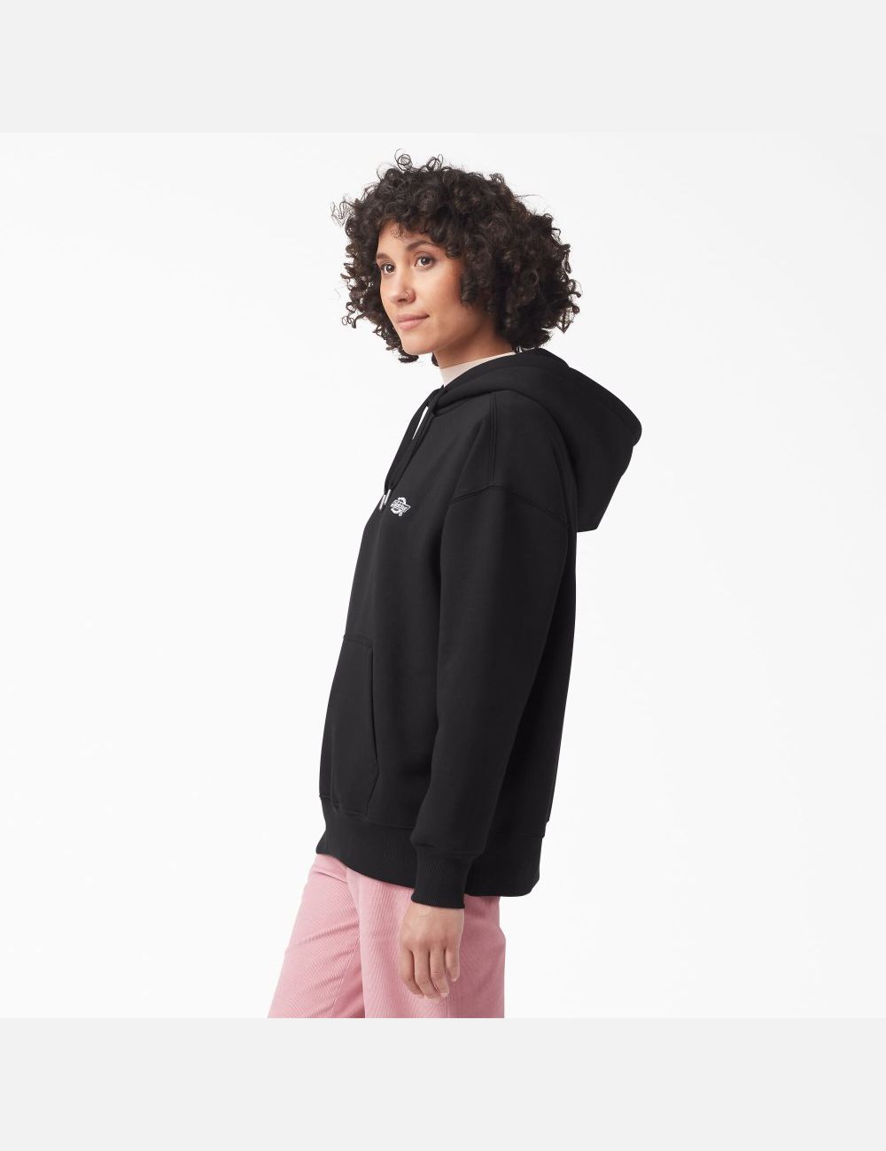 Sweat À Capuche Dickies Summerdale Relaxed Fit Noir | 523UDFEWA