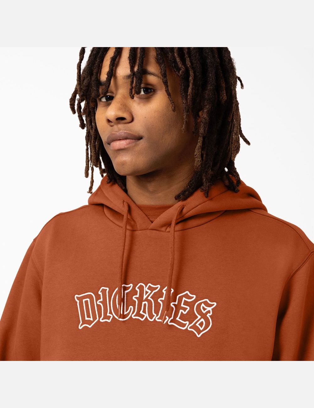 Sweat À Capuche Dickies Union Springs Logo Marron | 068JVQOUG