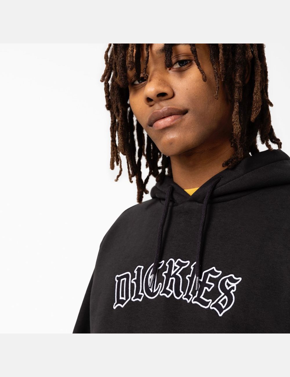 Sweat À Capuche Dickies Union Springs Logo Noir | 234SXADOB