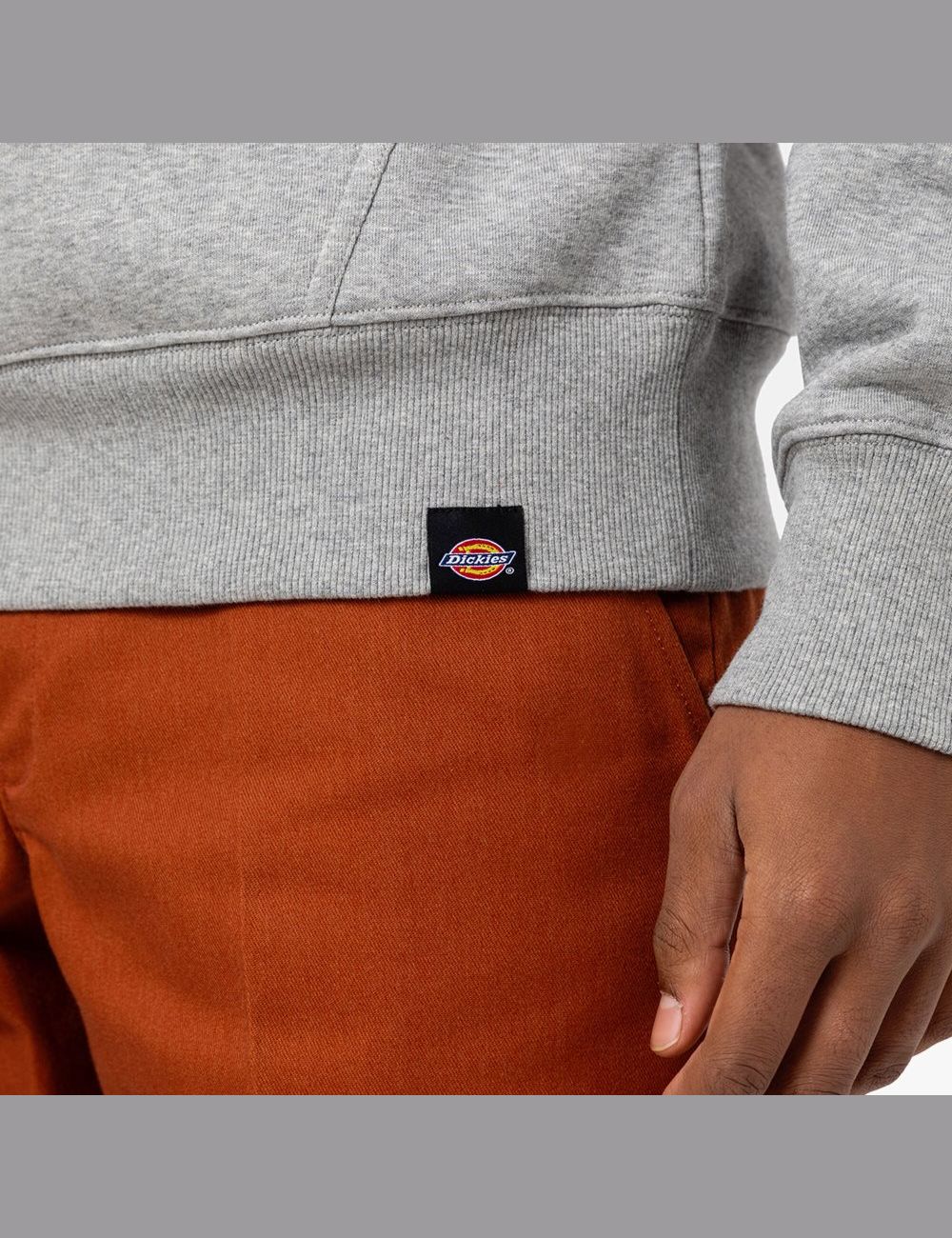 Sweat À Capuche Dickies Union Springs Logo Grise | 802XYMBTC