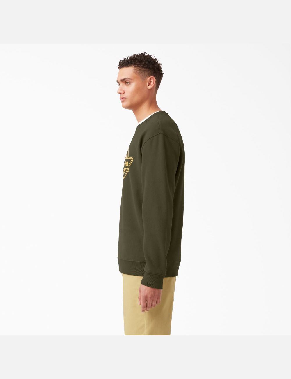 Sweatshirt Dickies Fleece Logo Graphique Vert | 429JRDZYC